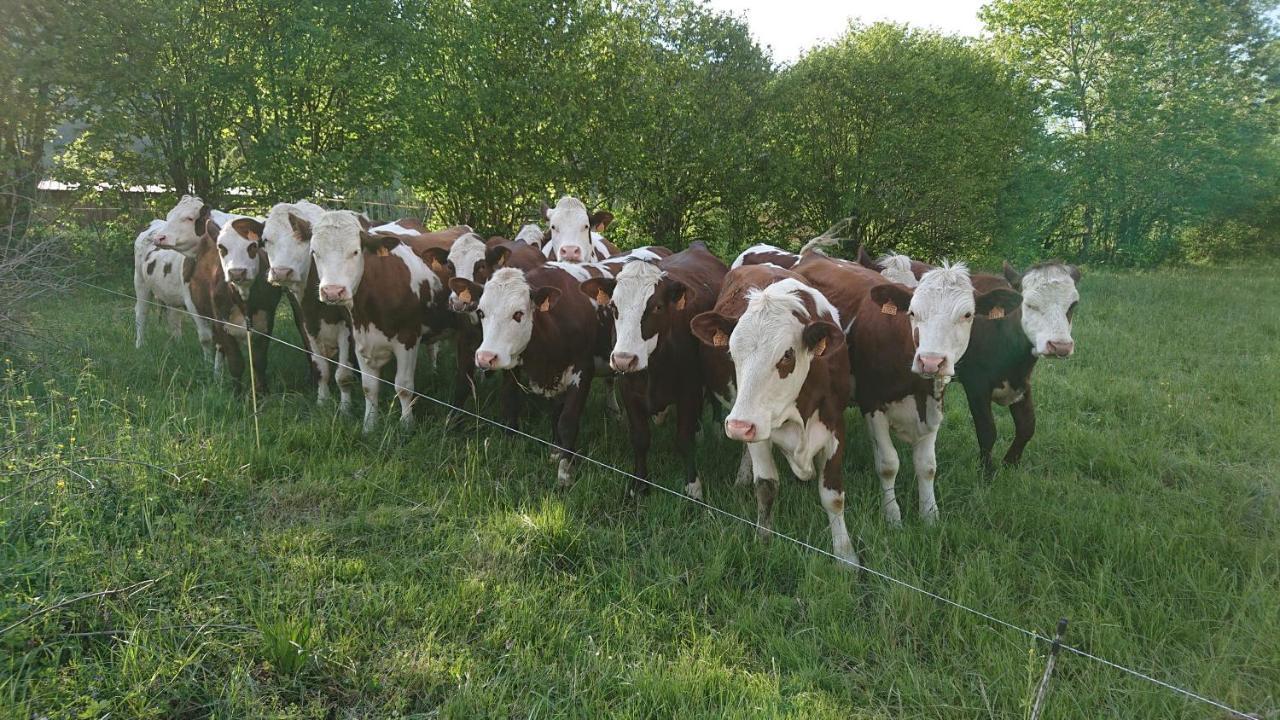 A La Campagne Au Bout Du D'annecy